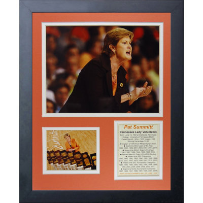 Souvenirs encadrée pat summit