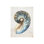 Beverly Fuller " Shell Compilation III " by Beverly Fuller