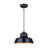 Alarna 1 - Light LED Single Pendant-67165500