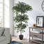 185cm Plant