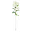 Plastic, Silk Artificial Arrangement-89222330