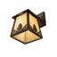 Stillwater Mountain Pine - Light Outdoor Wall Lantern