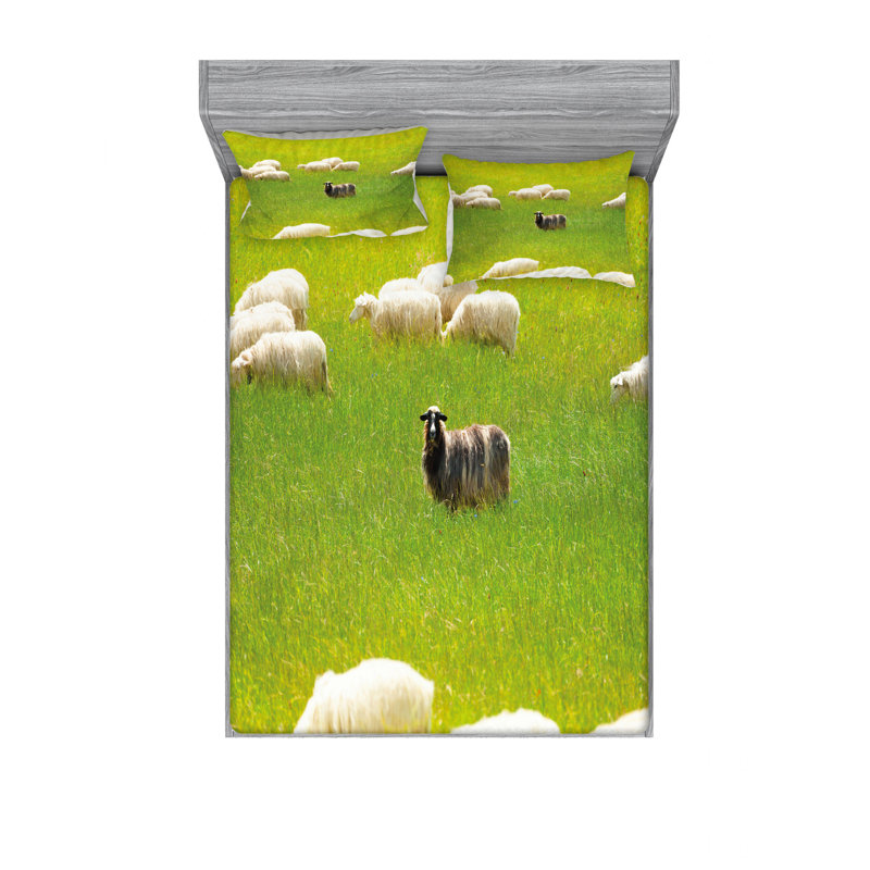 Ensemble de draps Sheep Entre Goatson, Ensemble de draps pour lit double avec un drap-hou