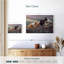 Trois petits cochons de Brampt-108967511