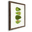 Avocat - Cadre photo, reproduction d'art sur papier-257222563-257222562