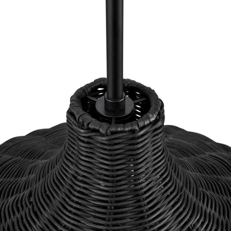 Dejanea 24.25" Wide 4-Light Pendant , Black, Black