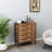 Shavar 32.68'' Wide Storage Cabinet