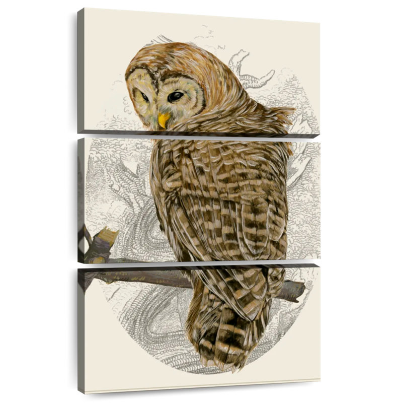Brampt Barred Owl II, 38'' H x 24'' W