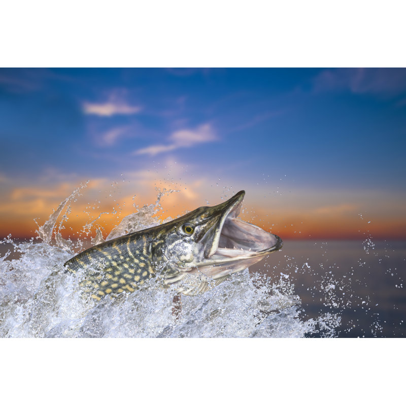 Big Pike Fish by FedBul - Wrapped Canvas Print, 51cm H x 76cm W