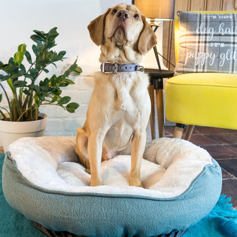 Anabelle Polyester Pet Bed, 25cm H x 70cm W x 70cm D