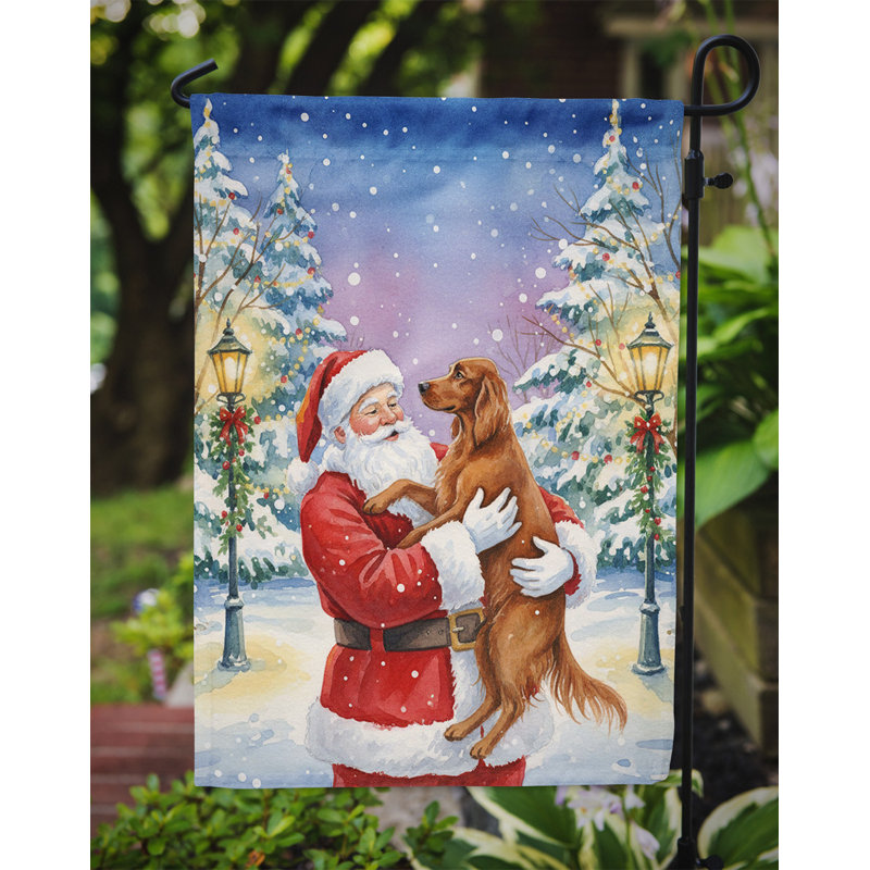 Setter irlandais avec drapeau du père Noël, Taille du jardin, Setter irlandais