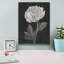 «Black and White Flowers 4» par Ethan Harper, art mural sur toile