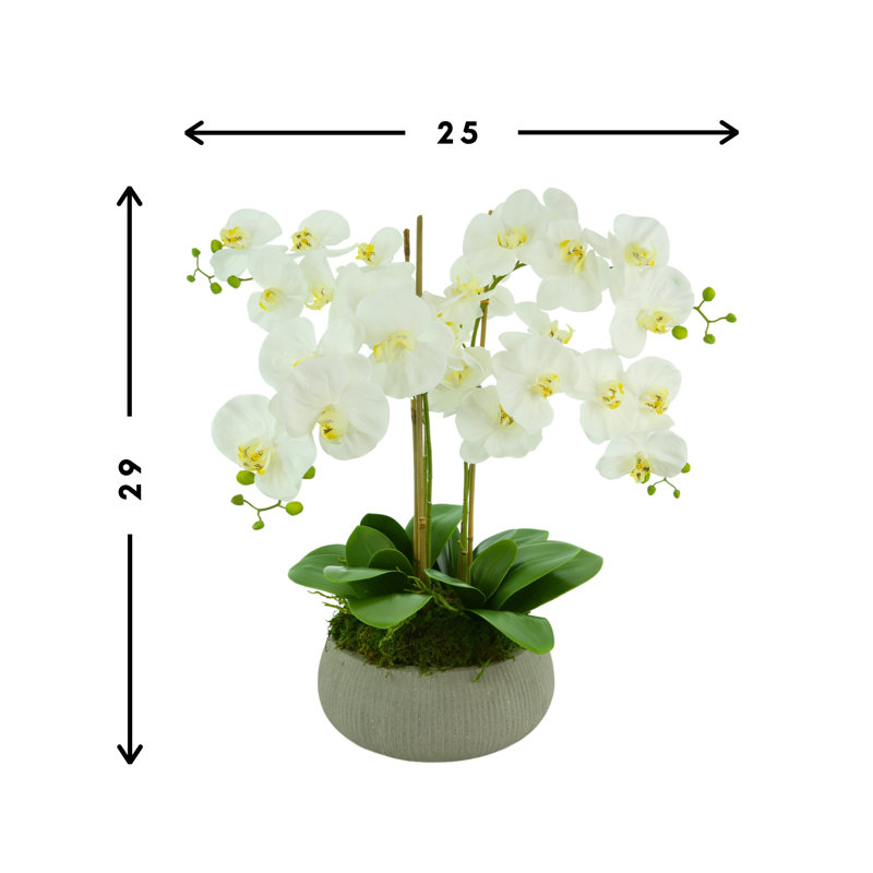 Orchid Arrangement in a Round Fiberstone Planter