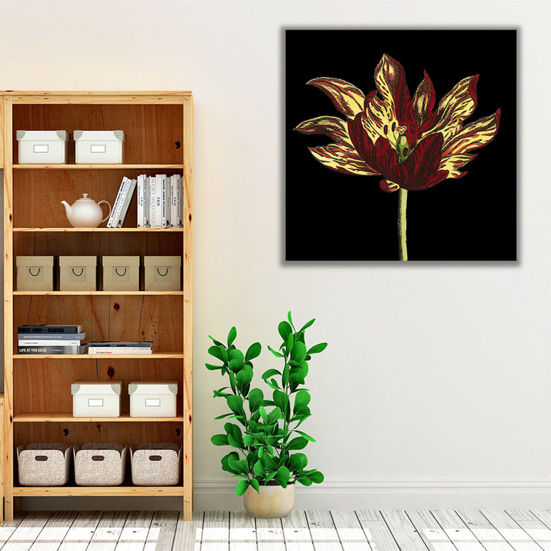 «Natural Beauty on Black I», reproduction d'art sur toile, H 24 po x l 24 po