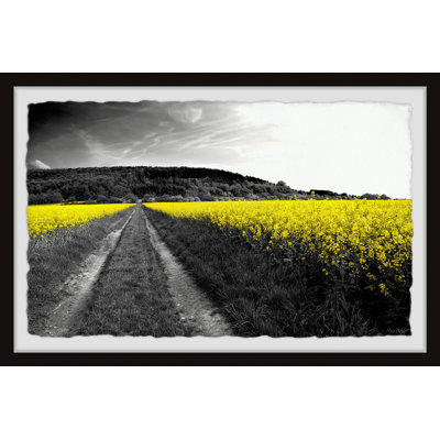 Wild Yellow Fields - Single Picture Frame Print