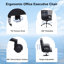 Fauteuil de direction Augustyne