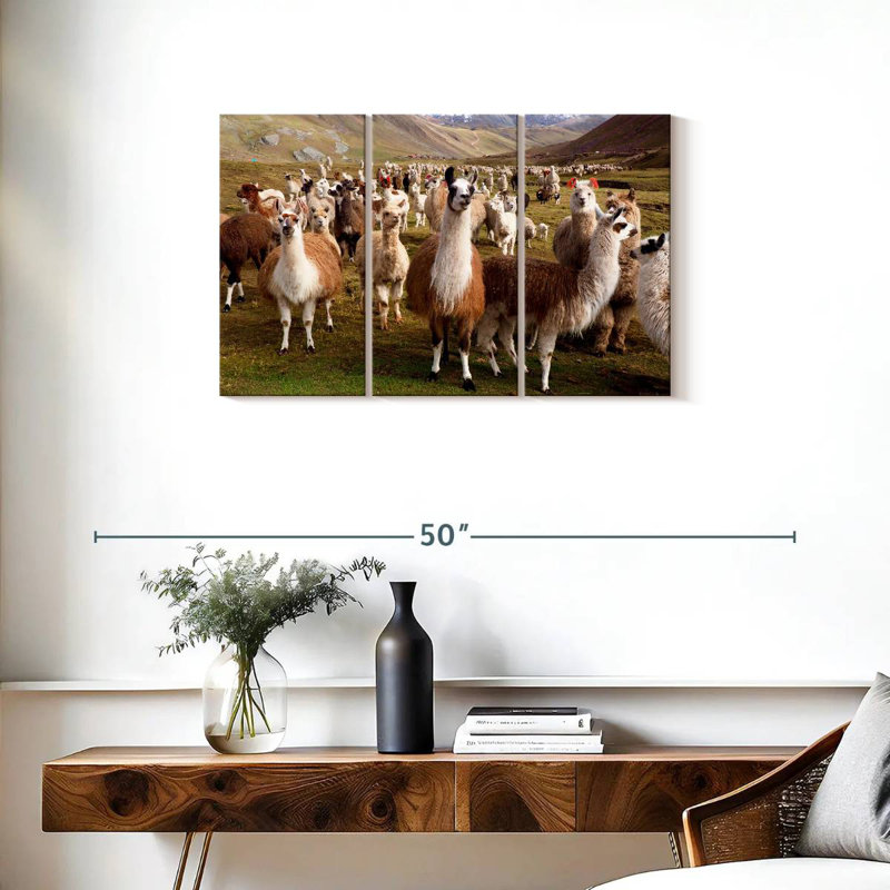Brampt Llamas And Alpacas, 20" H x 33" W