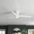 Antonia 60'' Ceiling Fan with LED Lights