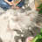 Animals Print Washable Thin Non-Slip Area Rug-794237255-798474939