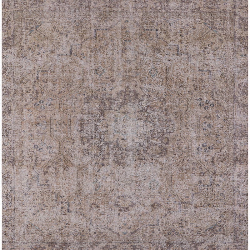 Rochele Oriental Indoor Rug, Square 5'