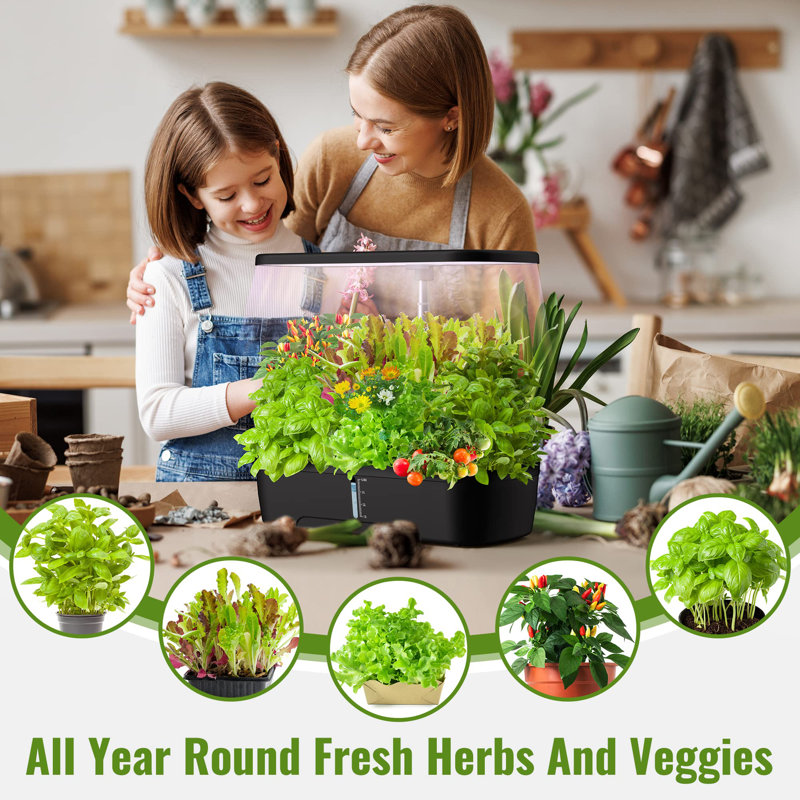 Black Indoor Hydroponic Garden System with LED Grow Light