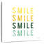 Tergel Smile Smile-109227516