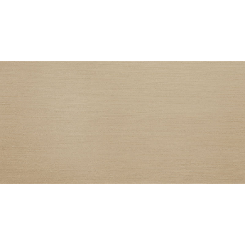 Refinery Semi-Polished 24'' W x 48'' L Porcelain Singular Tile, Caramel