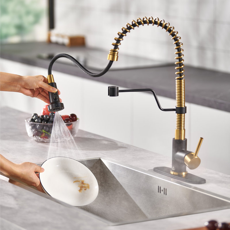 Bolden CASAINC 1.8 GPM Spring Neck Pull Down Kitchen Faucet with Deck Plate, Matte Black/Brushed Gold