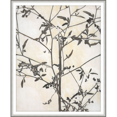 Inscrutible Botany 1 Print by Darrell Kincer