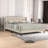 Lukasik Modern Tufted Wingback Upholstered Platform Bed-1246184649