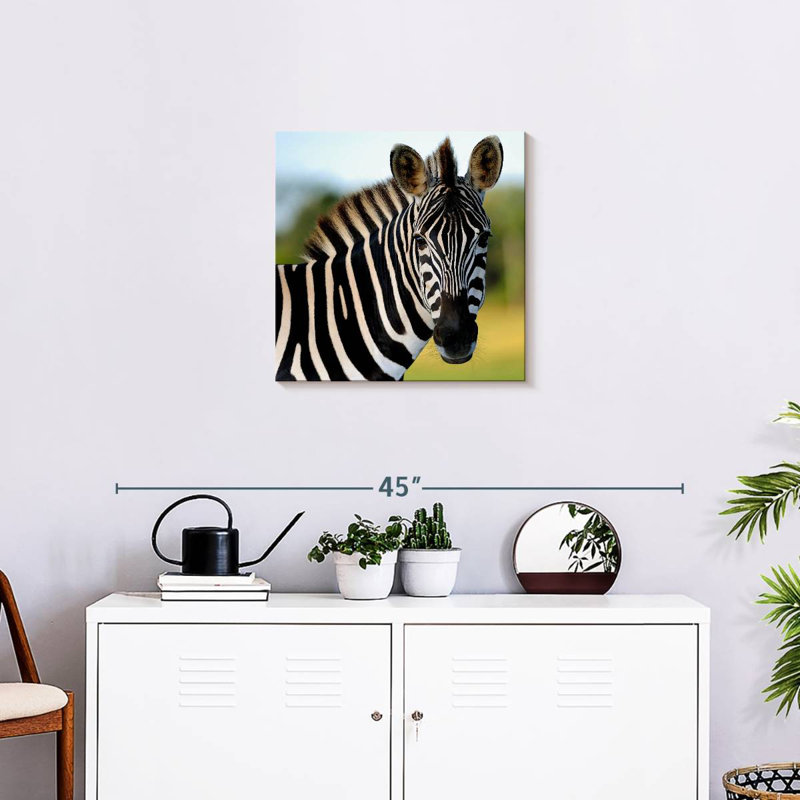 Brampt Staring Zebra, 20" H x 20" W