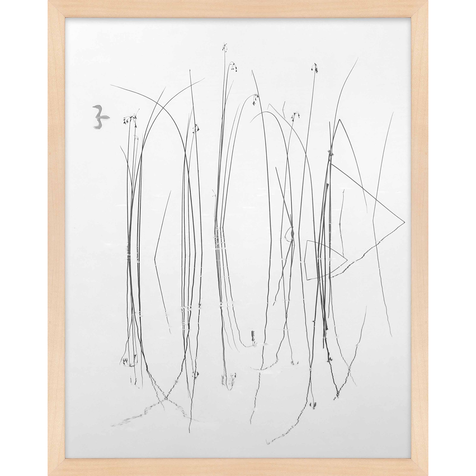 Lost in the Reeds Print by Laura Zimmerman, 38" H x 30" W, Maple