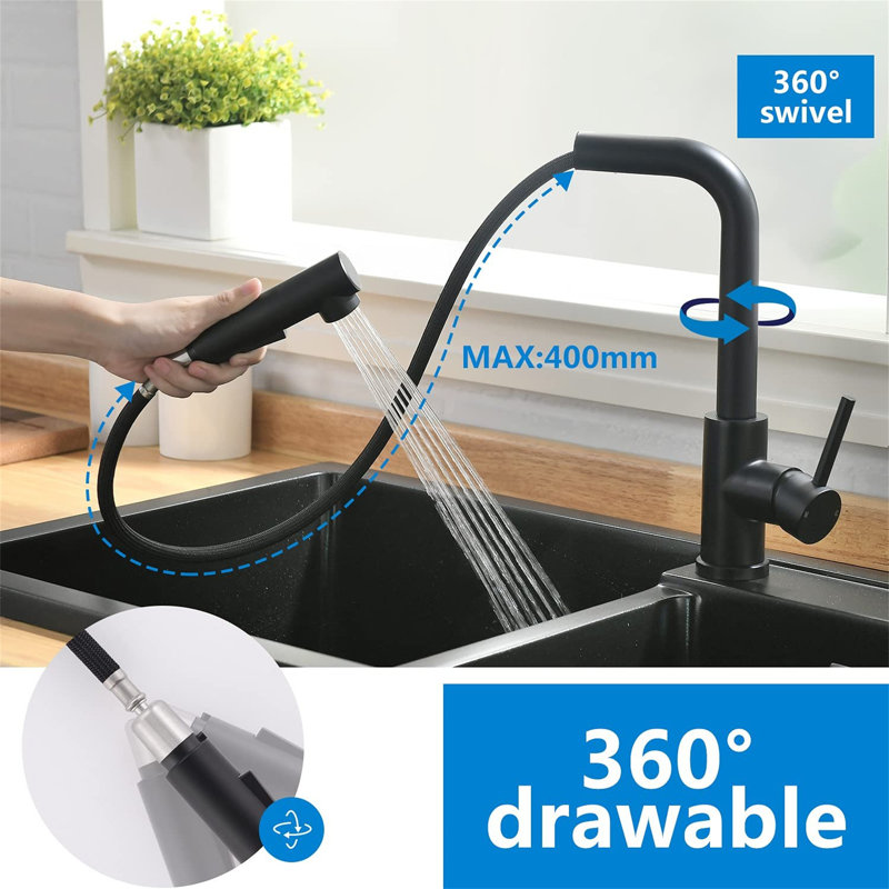 Belfry Kitchen Brooklana Kitchen Faucet, Matte Black