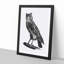 Egyptian Owl Illustration - Picture Frame Drawing Print-55539658-55539662