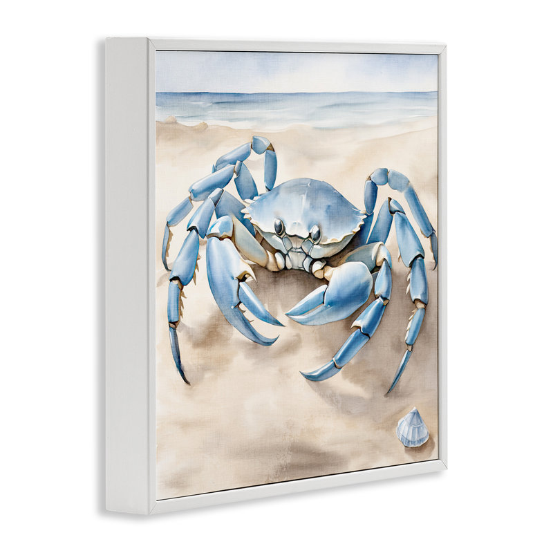 Crabe bleu sur la plage – Giclée encadrée en gris par Kim Allen, Estampe numérique encadrée blanc bord de mer