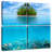 Aletra Underwater Coral Reef-109133454