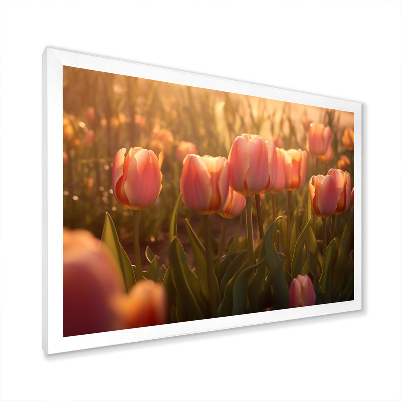 Champ de tulipes sur toile, H 16 po x l 32 po x P 1 po, Cadre simple blanc
