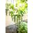 Hampson Ceramic Hanging Planter