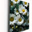 Horloge murale Caid - Daisies-706458658