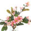 Magnolias Arranged in a Glass Vase-101346997