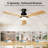 52" Low Profile Ceiling Fans With Lights And Remote, 3CCT Dimmable LED Light, Quiet 6-Speed Reversible DC Motor, 3 Wooden Blades, Timer, Memory Function, Outdoor Indoor Flush Mount Fan-172054440-172054446