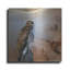  «Redtail Hawk» par Jim Brune, art mural en métal, 24 po x 24 po-1150953560