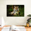Brampt Mighty Tiger-107689941
