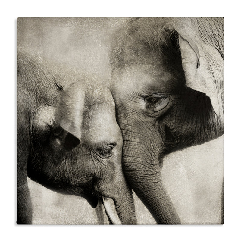 «Elephant & Baby Hug Canvas», conception par CAD Designs, H 24 po x l 24 po