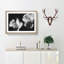 Pair Of Daffodils - Single Picture Frame Print on MDF-56704714-56704715