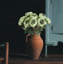 Arrangement floral bouquet de pivoines rétro-1627975761