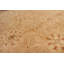 Winafred Oriental Area Rug