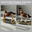 Machine portative de réformateur de Pilates, planche de Pilates multifonctionnelle