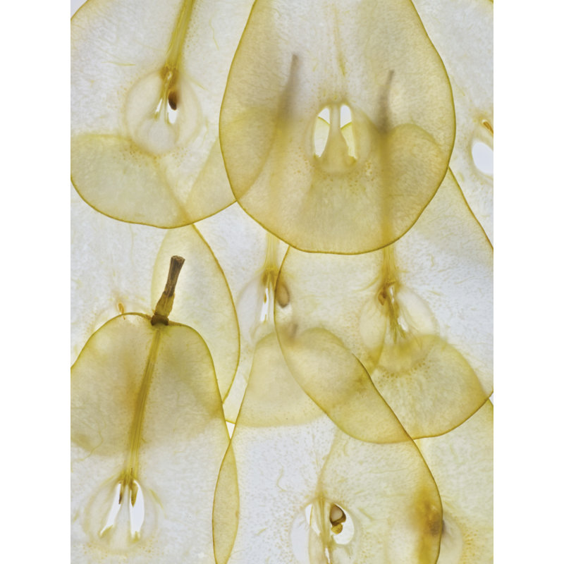 Pear Slices Print by Harold Davis, Black Framed Canvas, 33" H x 25" W