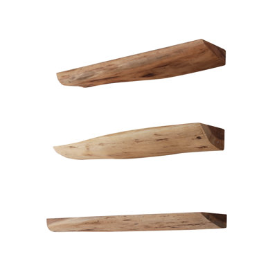Ebeling 3 Piece Solid Wood Floating Shelf